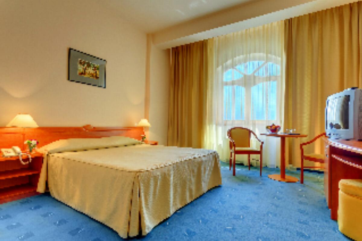 Ana Airport Hotel Hotel Sibiu Romania