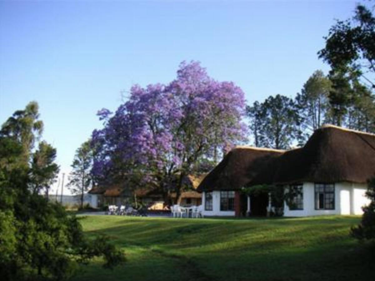 Antbear Drakensberg Lodge Hotel Emhubeni South Africa