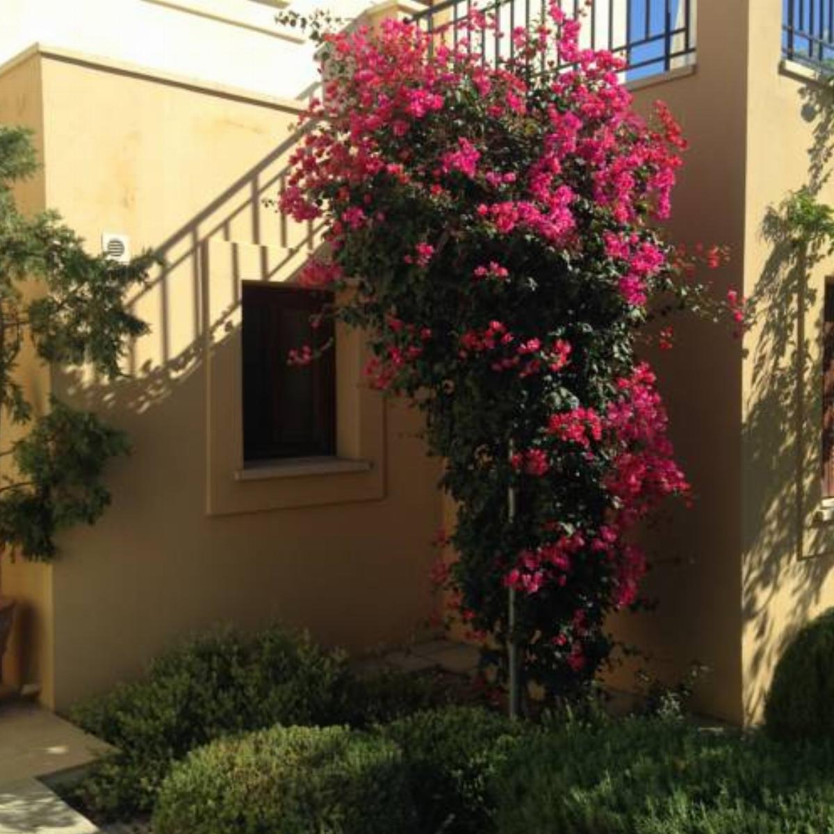 Anthos Apartment Hotel Kouklia Cyprus