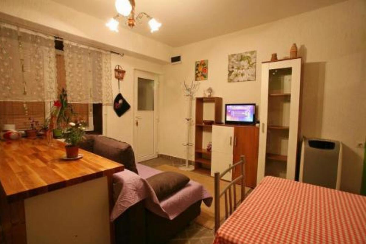 Apartment Delnice 14895a Hotel Delnice Croatia