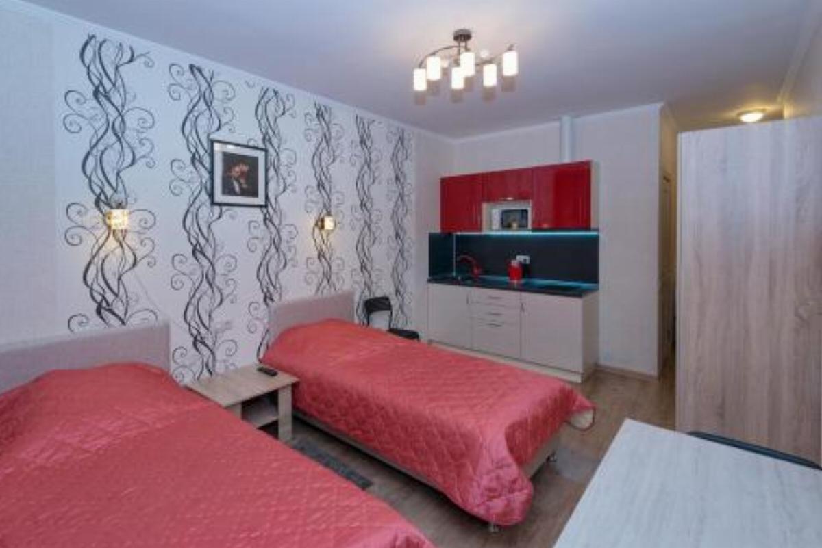 Apartment Dreams Come True Hotel Krasnoznamensk Russia