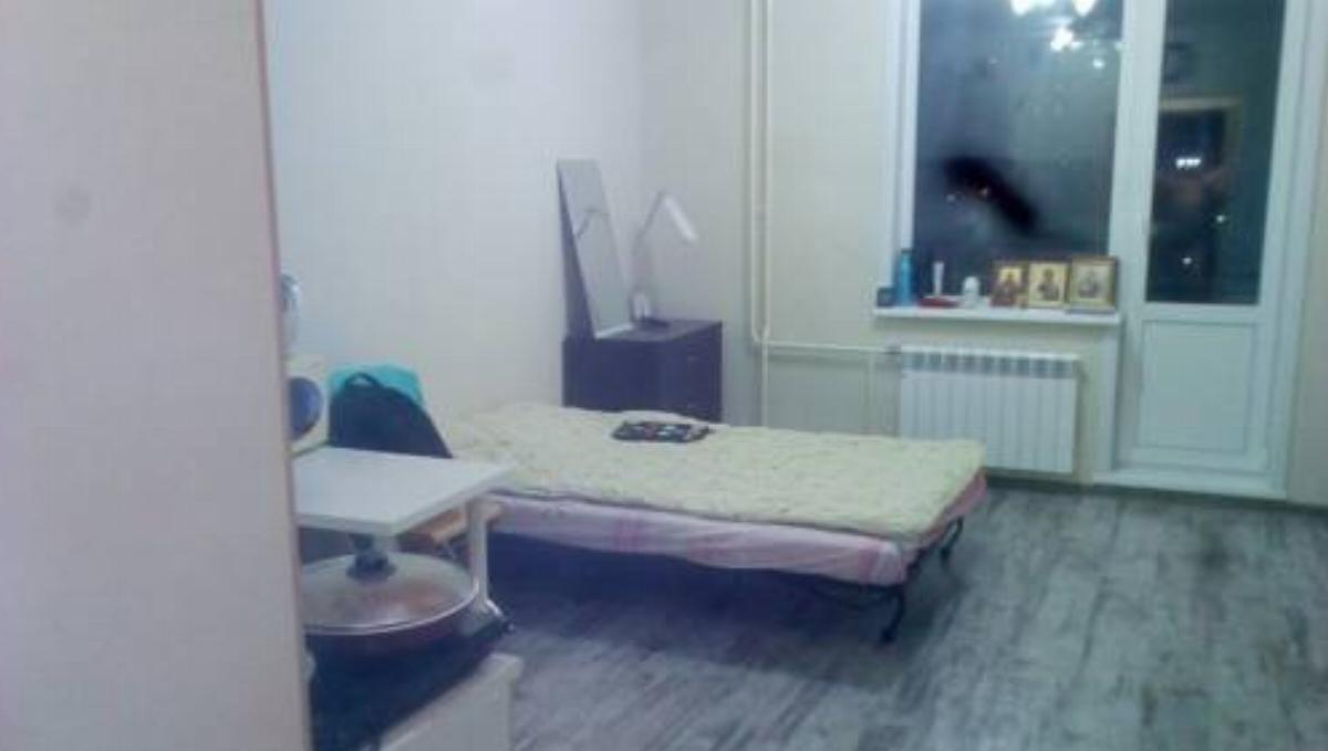 Apartment in Kolcovo Hotel Baryshevo Russia