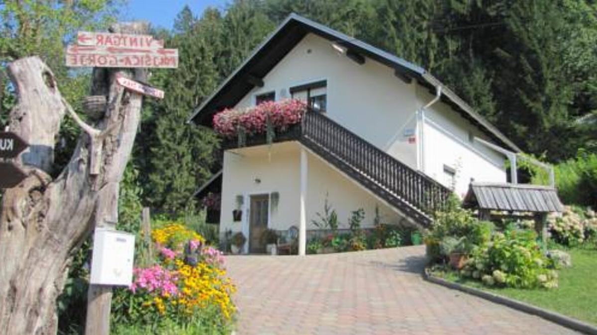Apartment Nuška Hotel Bled Slovenia