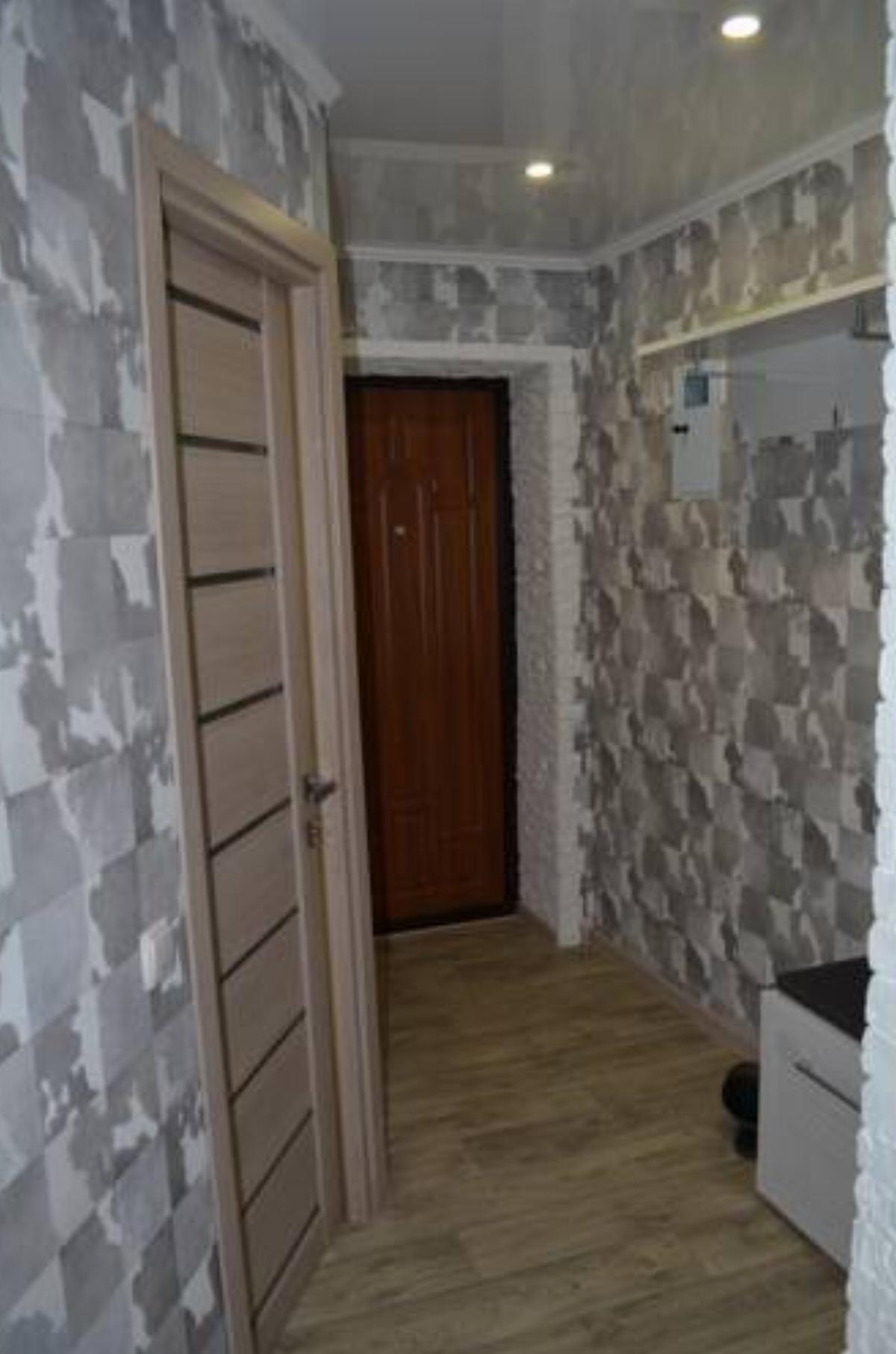 Apartment on Petra Kalnyshevskogo Hotel Krivoy Rog Ukraine
