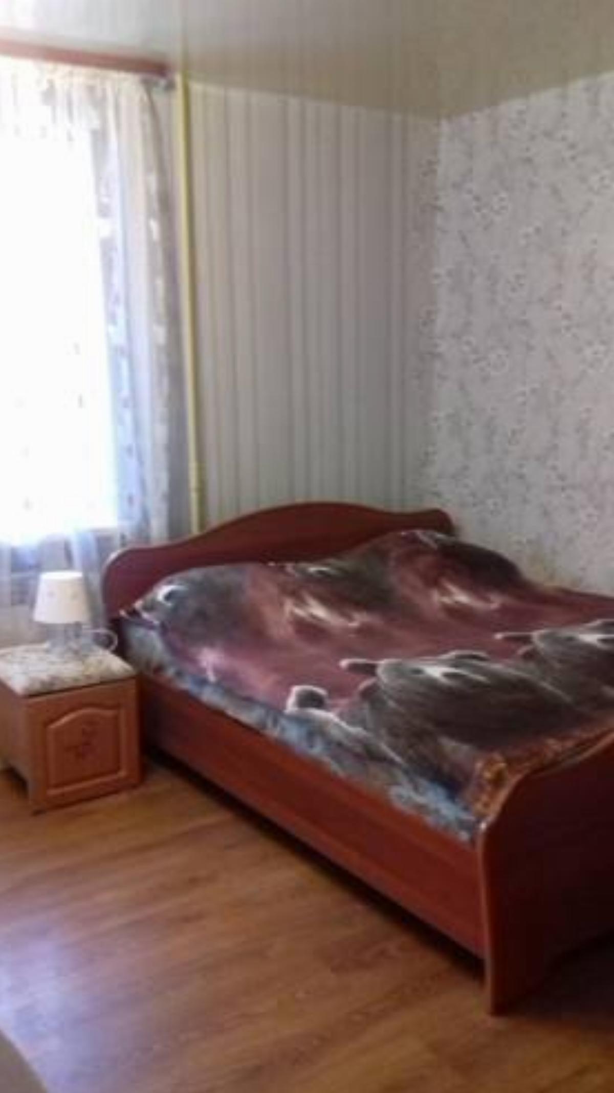 Apartment on Pushkinskaya 232 Hotel Izhevsk Russia