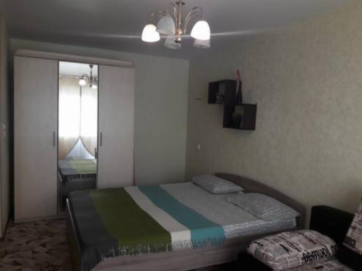 Apartment on Sotsialisticheskiy Hotel Barnaul Russia