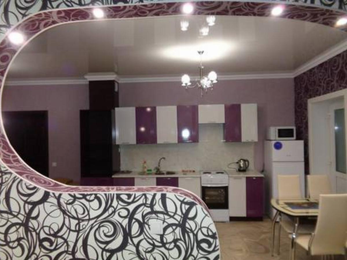 Apartment Protochnaya Hotel Gorno-Altaysk Russia