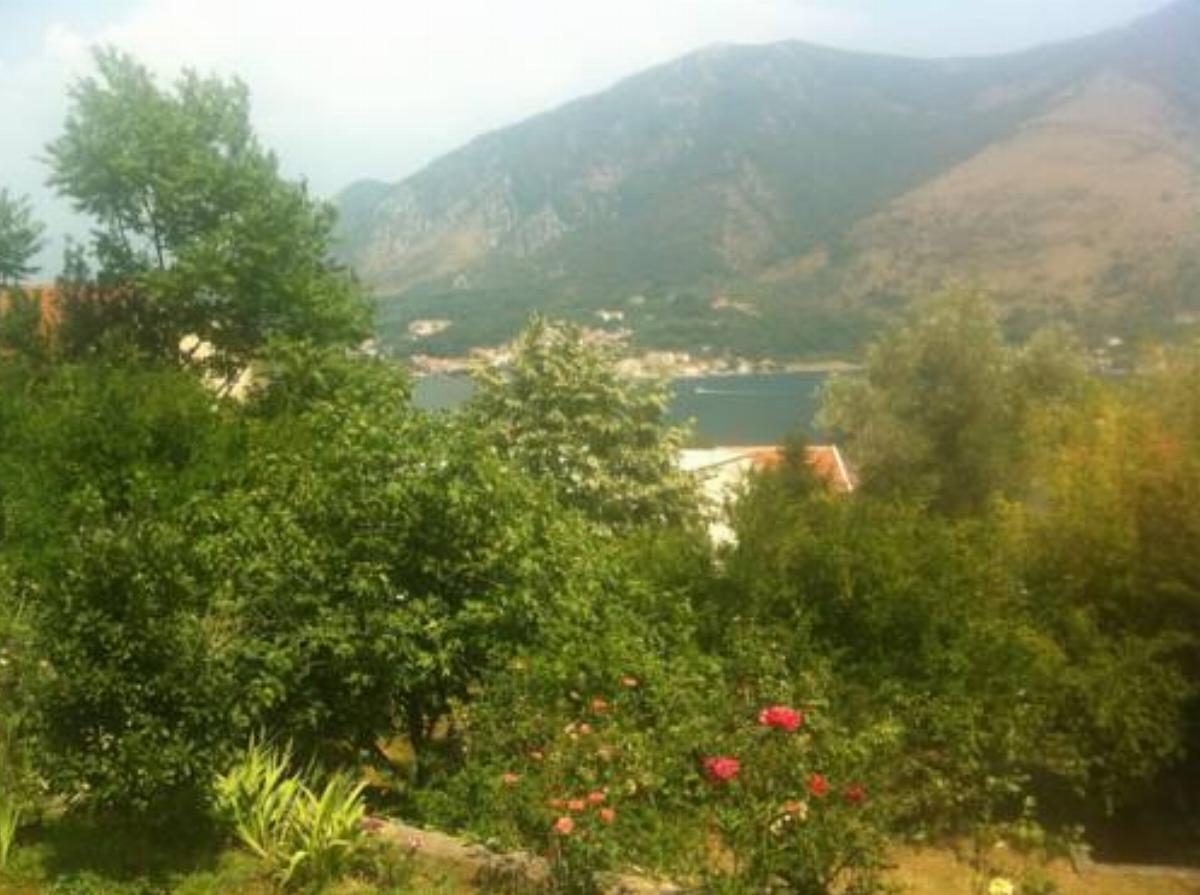 Apartments Bućin Hotel Kotor Montenegro