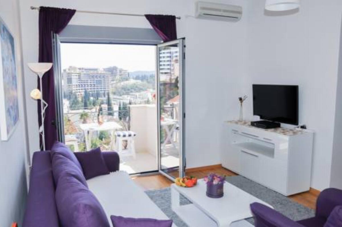 Apartments Danijelle 1 2 3 Hotel Boreti Montenegro