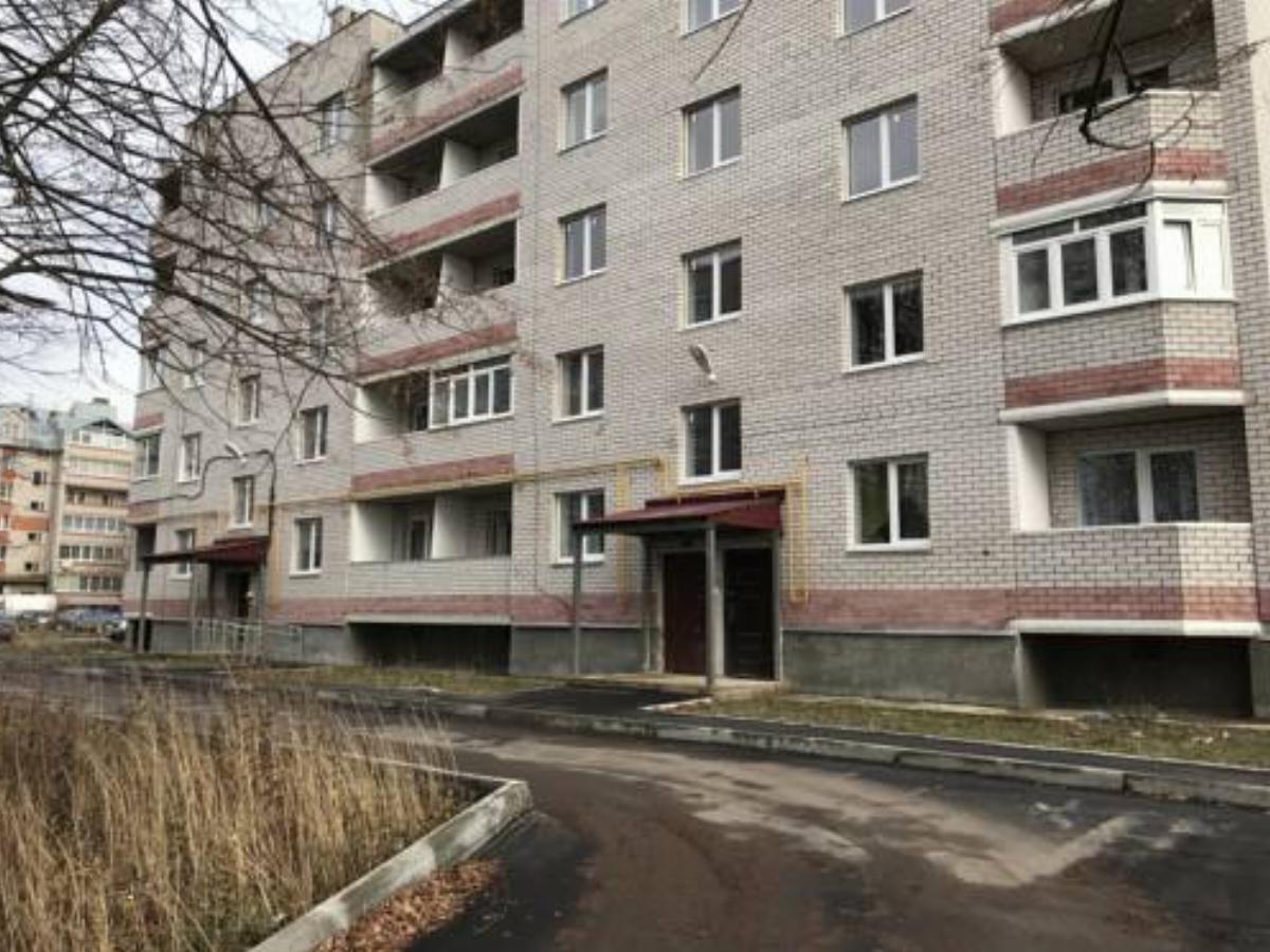 Apartments on Botanicheskaya 5A Hotel Borovichi Russia