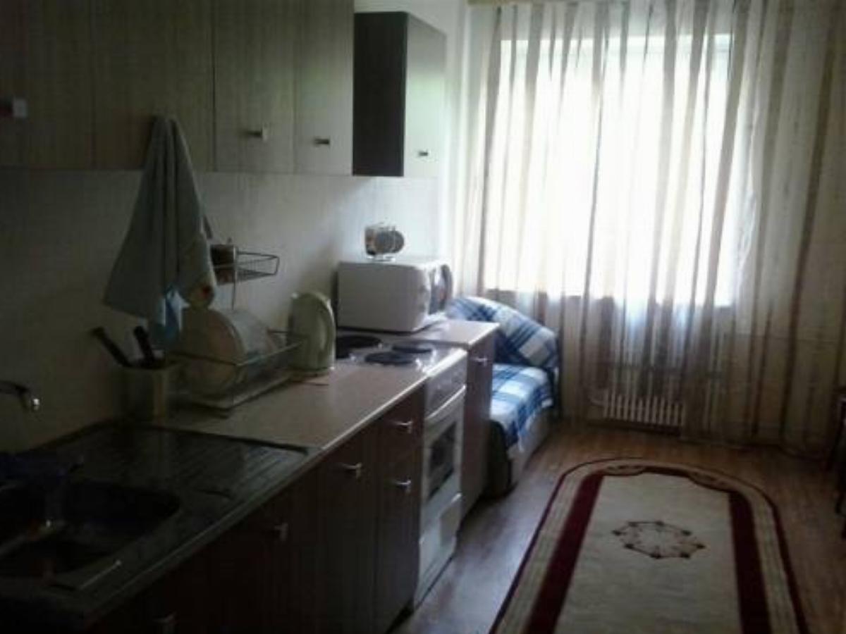 Apartments on Moskovskiy prospect 147A Hotel Gor'kogo Russia