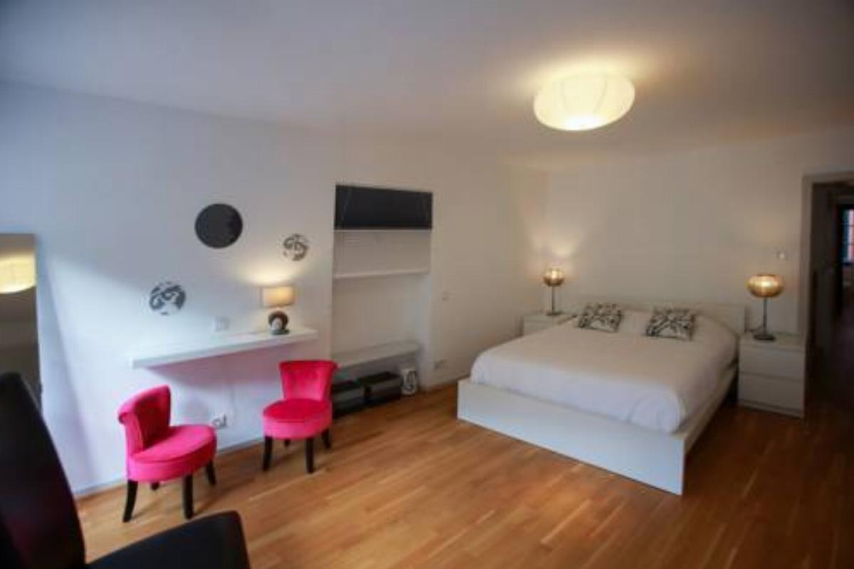 Appartements Des 2 Têtes Hotel Colmar France