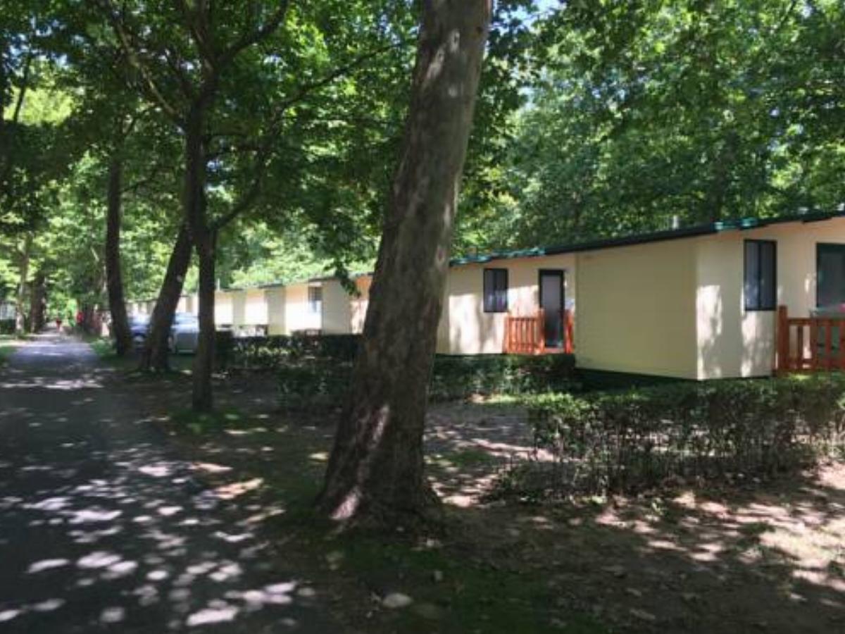 Aqua Camp Mobil házak-Pelso Kemping Alsóörs Hotel Alsóörs Hungary
