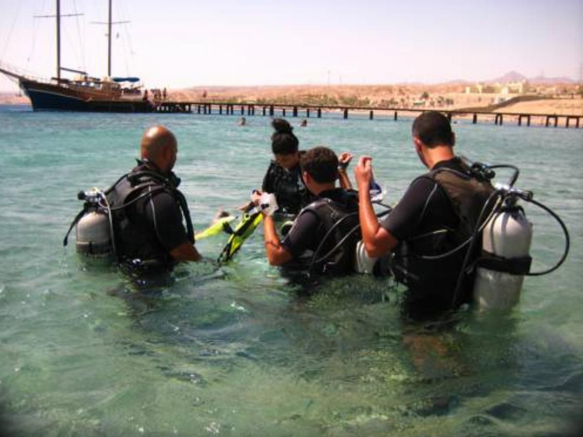 Arab Divers Resort Hotel Aqaba Jordan