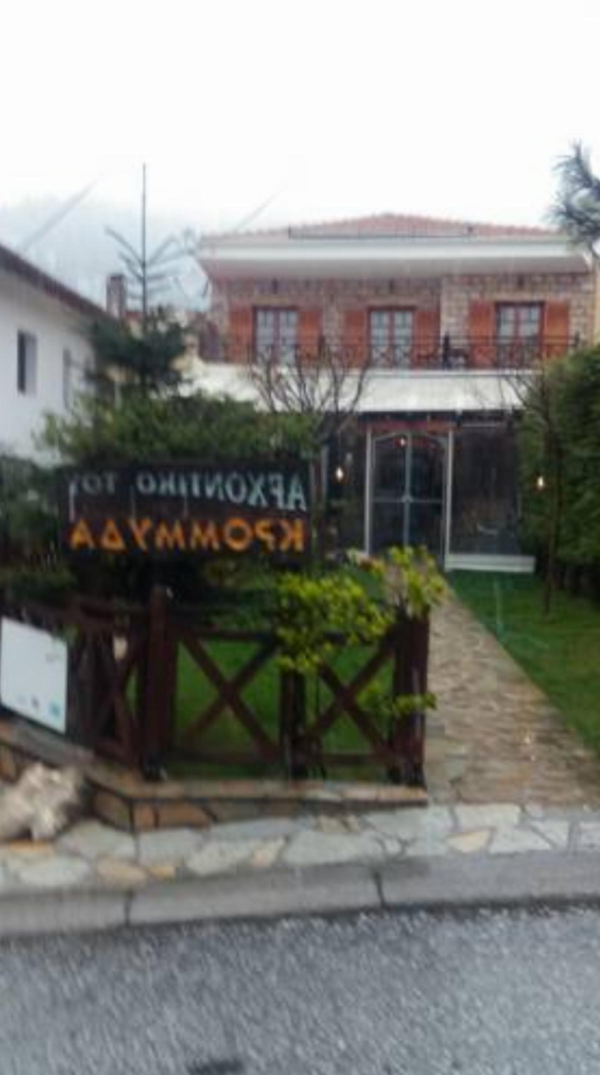 Archontiko tou Krommyda Hotel Elati Trikalon Greece