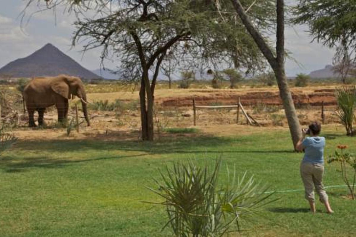 Ashnil Samburu Camp Hotel Archers Post Kenya