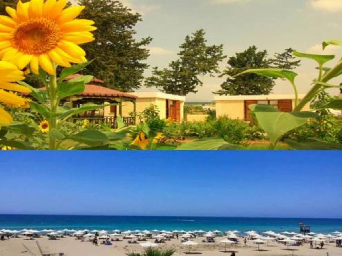 Asut Guest House Hotel Komi Kebir Cyprus