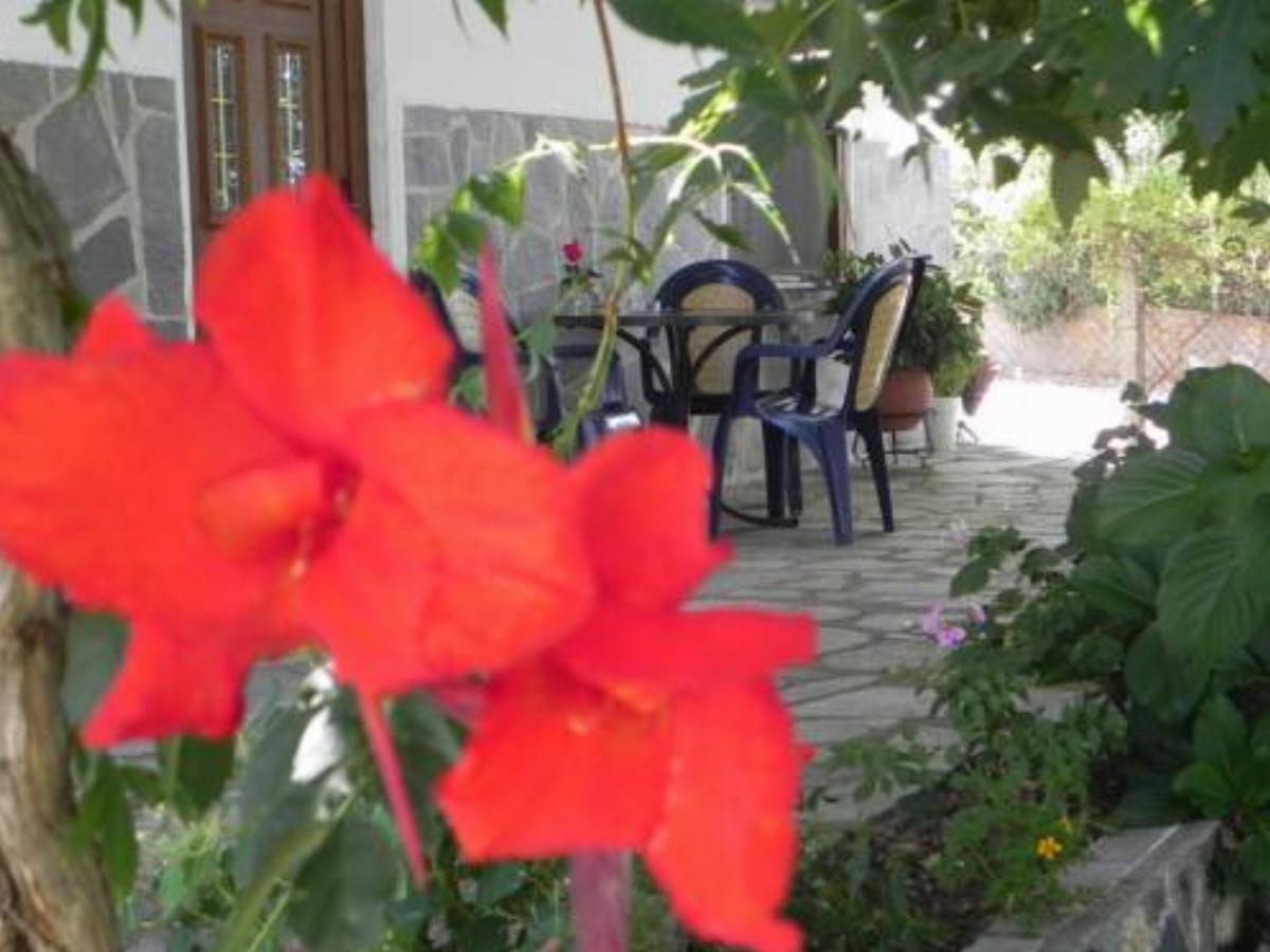 Athanasios Stafylas Hotel Kariotes Greece