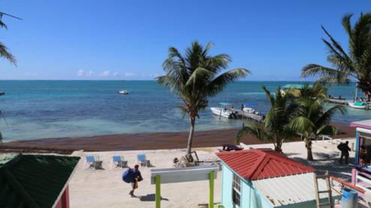 Auxillou Beachfront Apartments Hotel Caye Caulker Belize