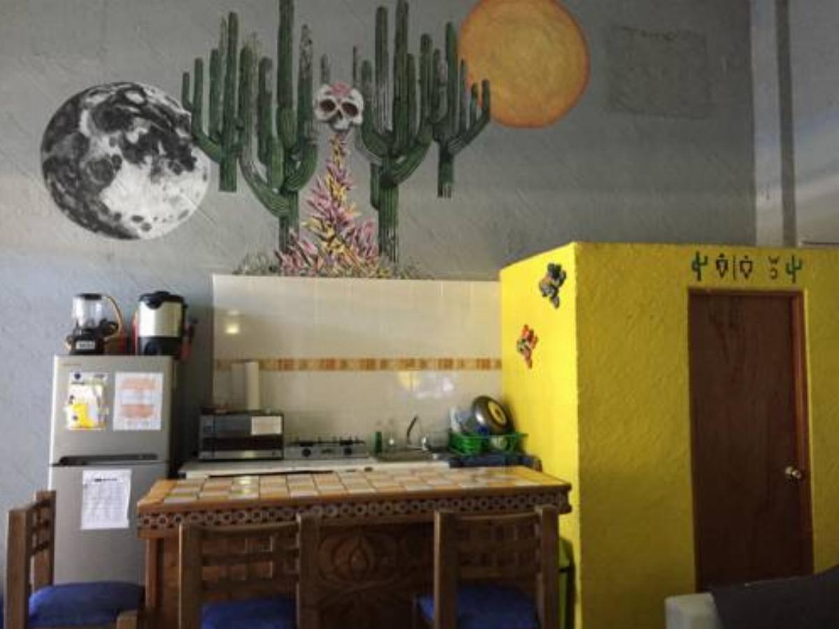 Bajas Cactus Hostel Hotel Cabo San Lucas Mexico