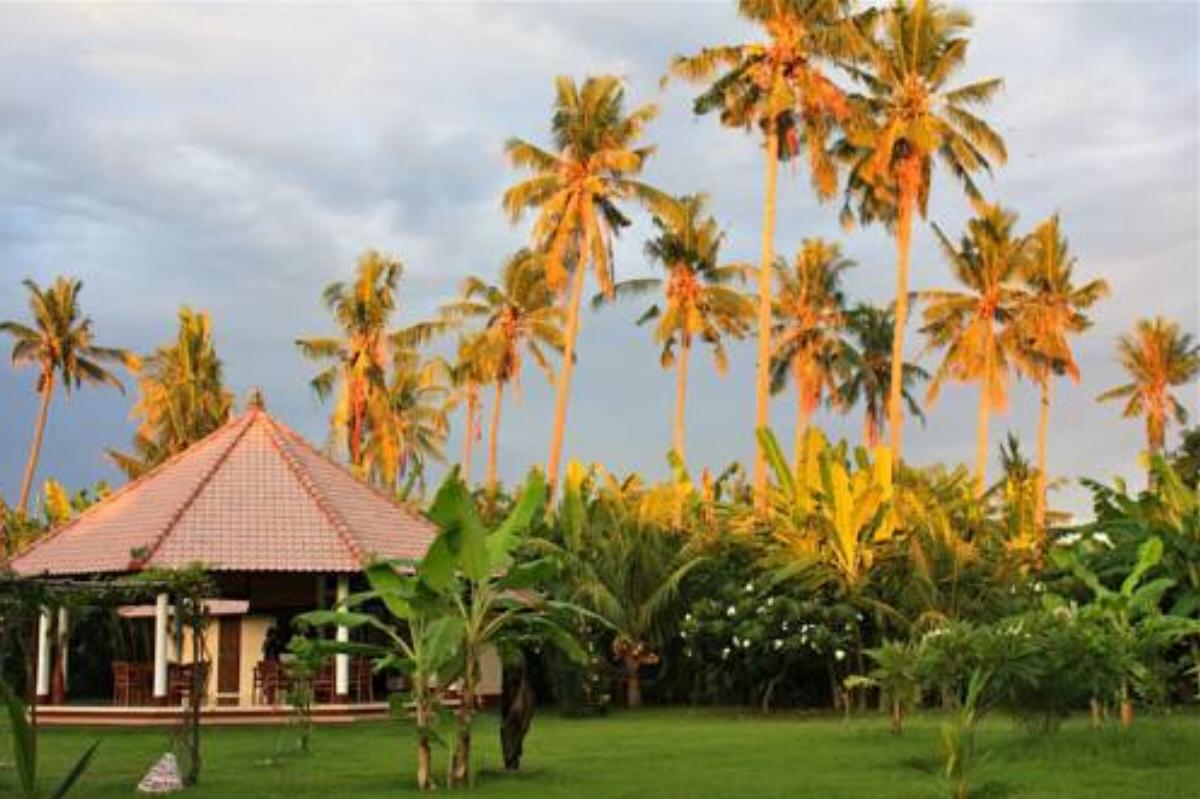 Bali Oase Resort Hotel Pemuteran Indonesia
