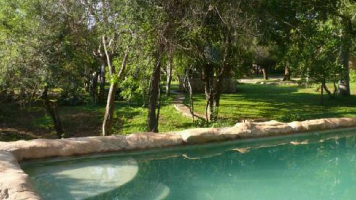 Baluleni Safari Lodge Hotel Grietjie Game Reserve South Africa