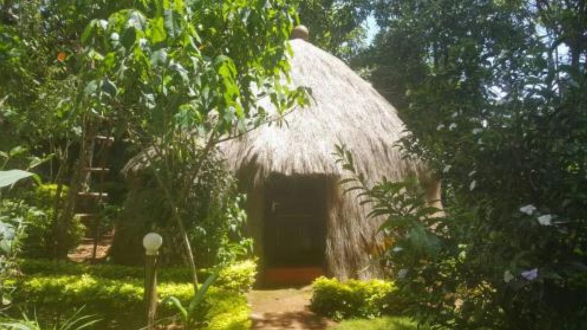 Banana Jungle Hotel Mamba Tanzania