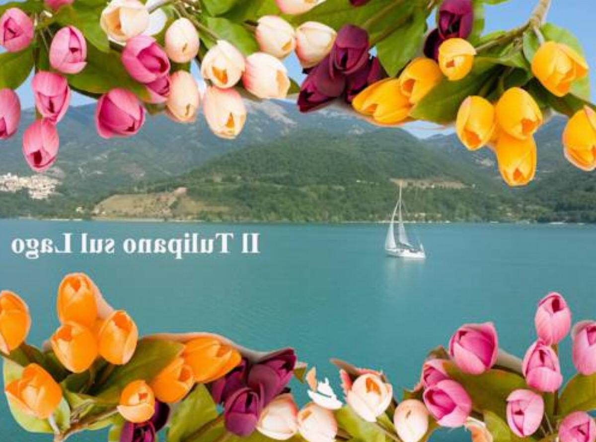 B&B Il Tulipano sul Lago Hotel Colle di Tora Italy