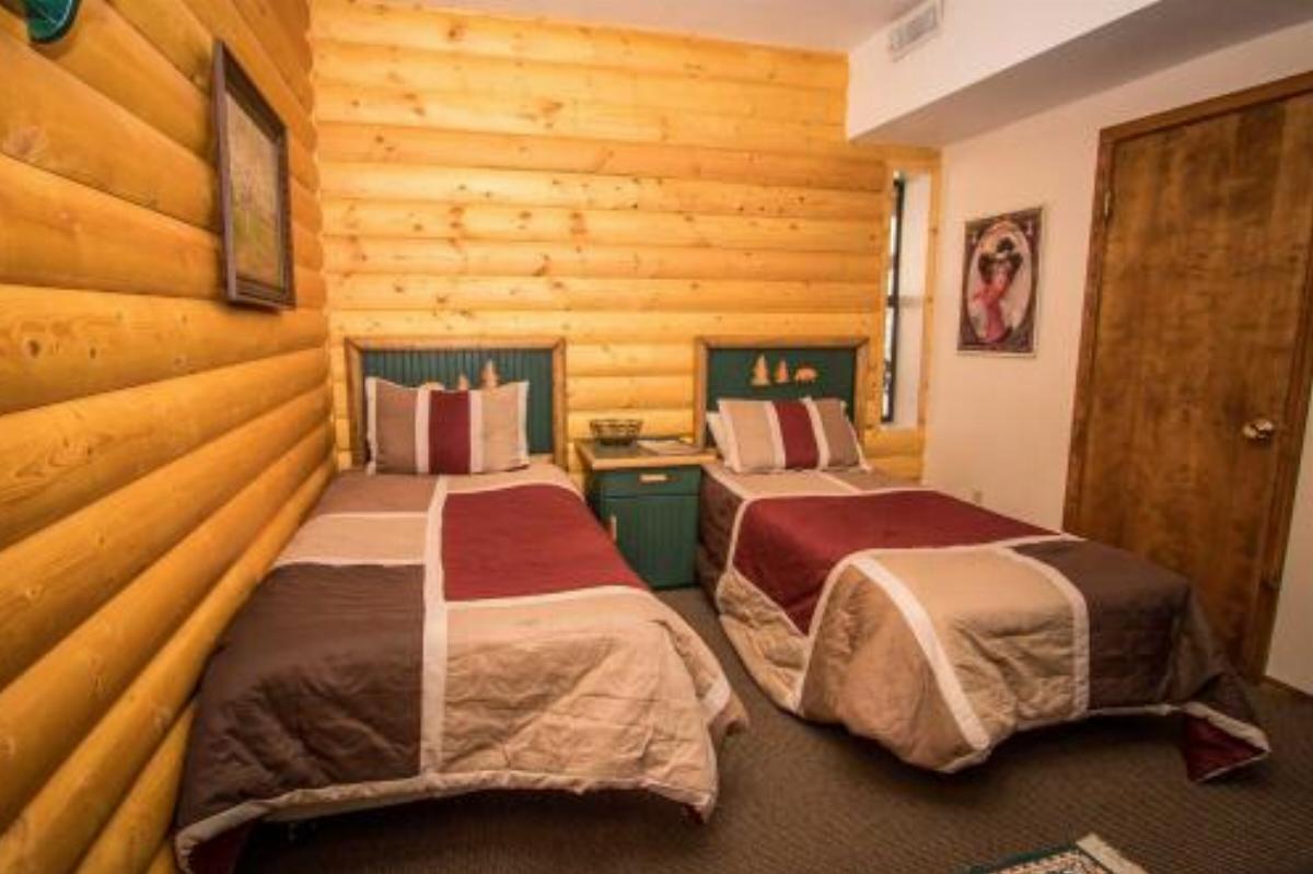 Bear Log Lodge #1541 Hotel Fawnskin USA