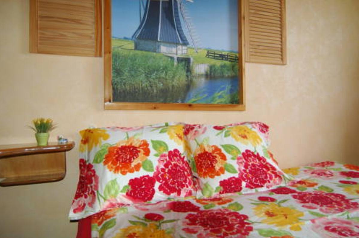 Bed and Breakfast Tulip Gallery Hotel Amsterdam Netherlands