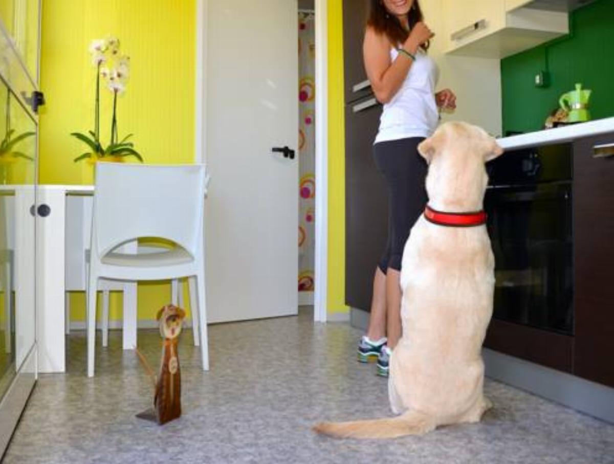 Bed&Pet Hotel Gonnesa Italy