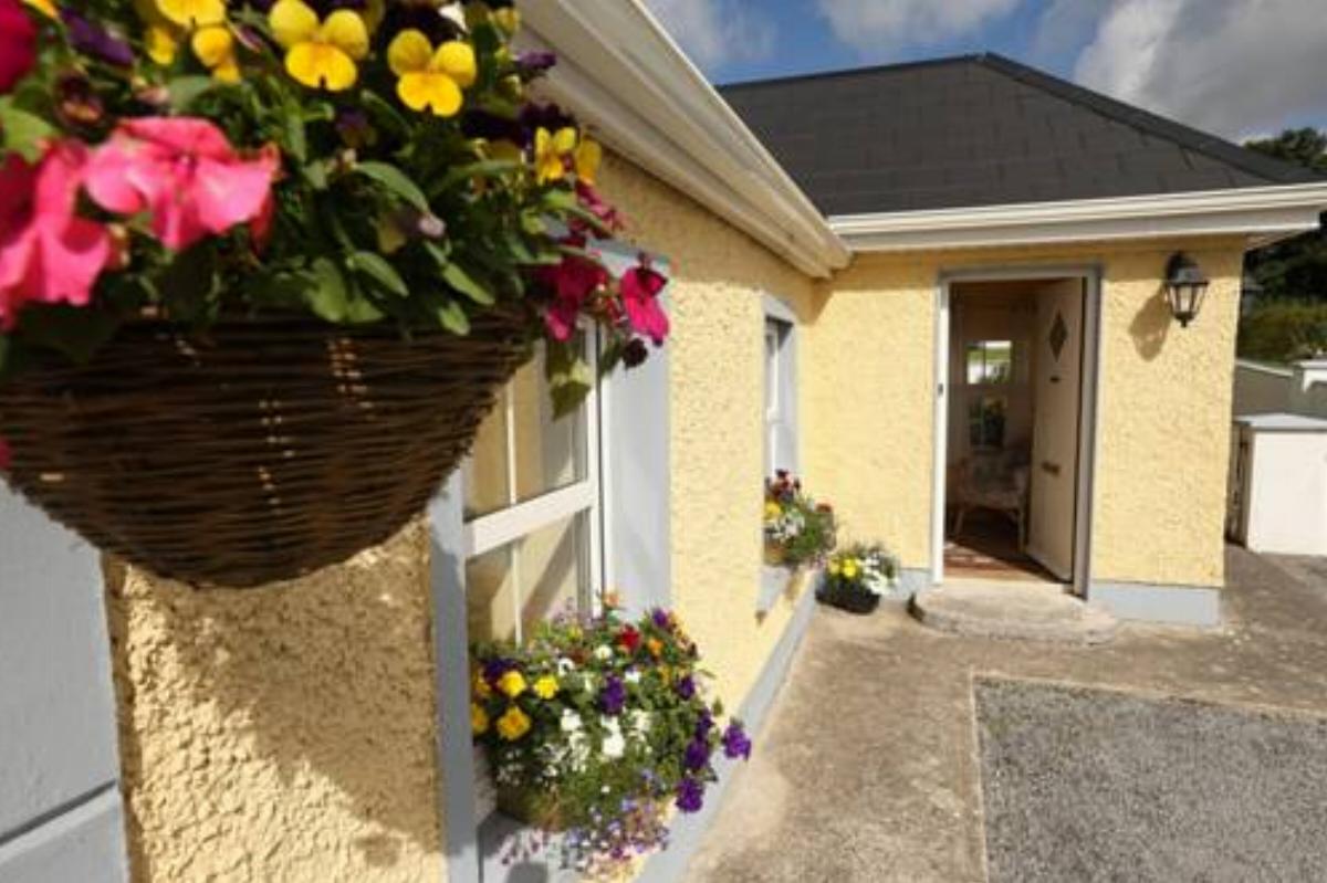 Beezies Self Catering Cottages Hotel Grange Ireland