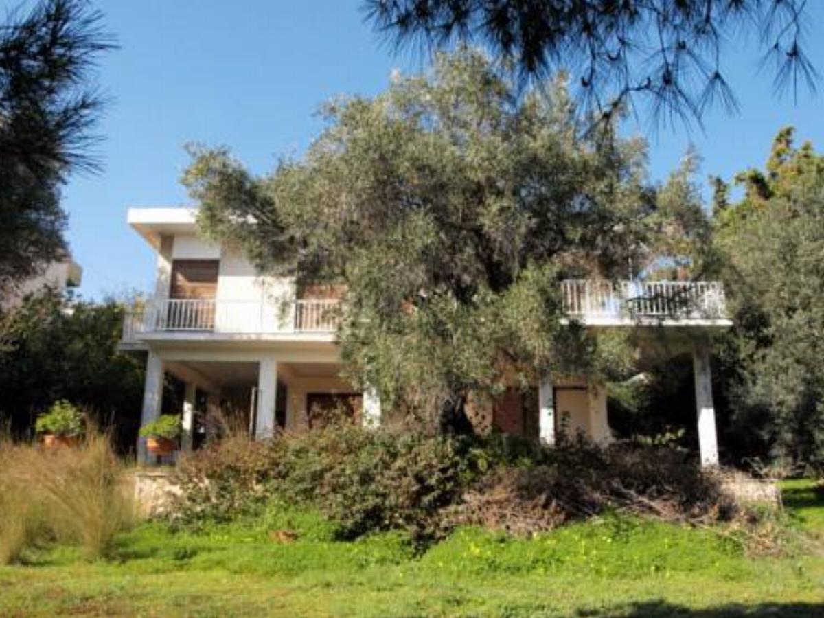 Big quiet house with large garden Hotel Lagonissi Greece