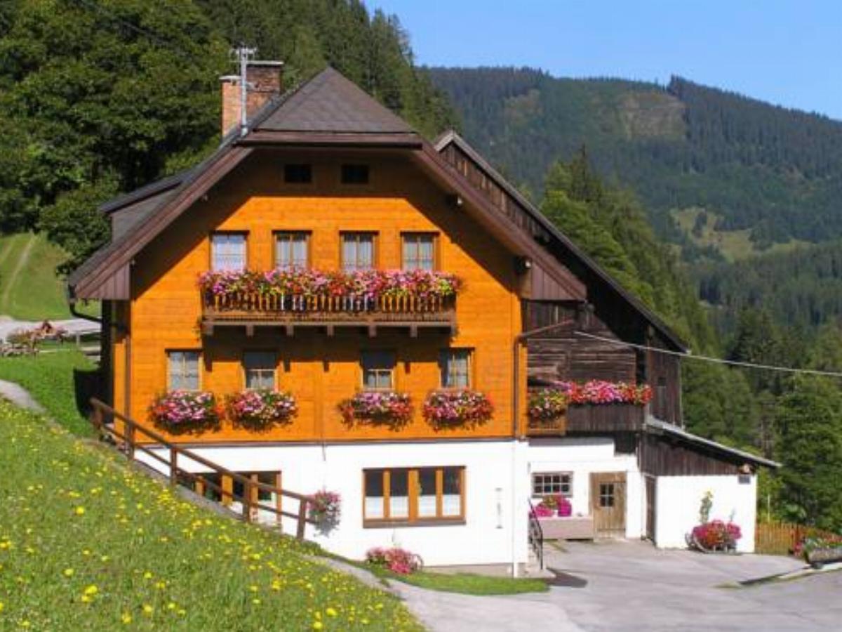 Bio-Bauernhof Grundlehnerhof Hotel Ramsau am Dachstein Austria