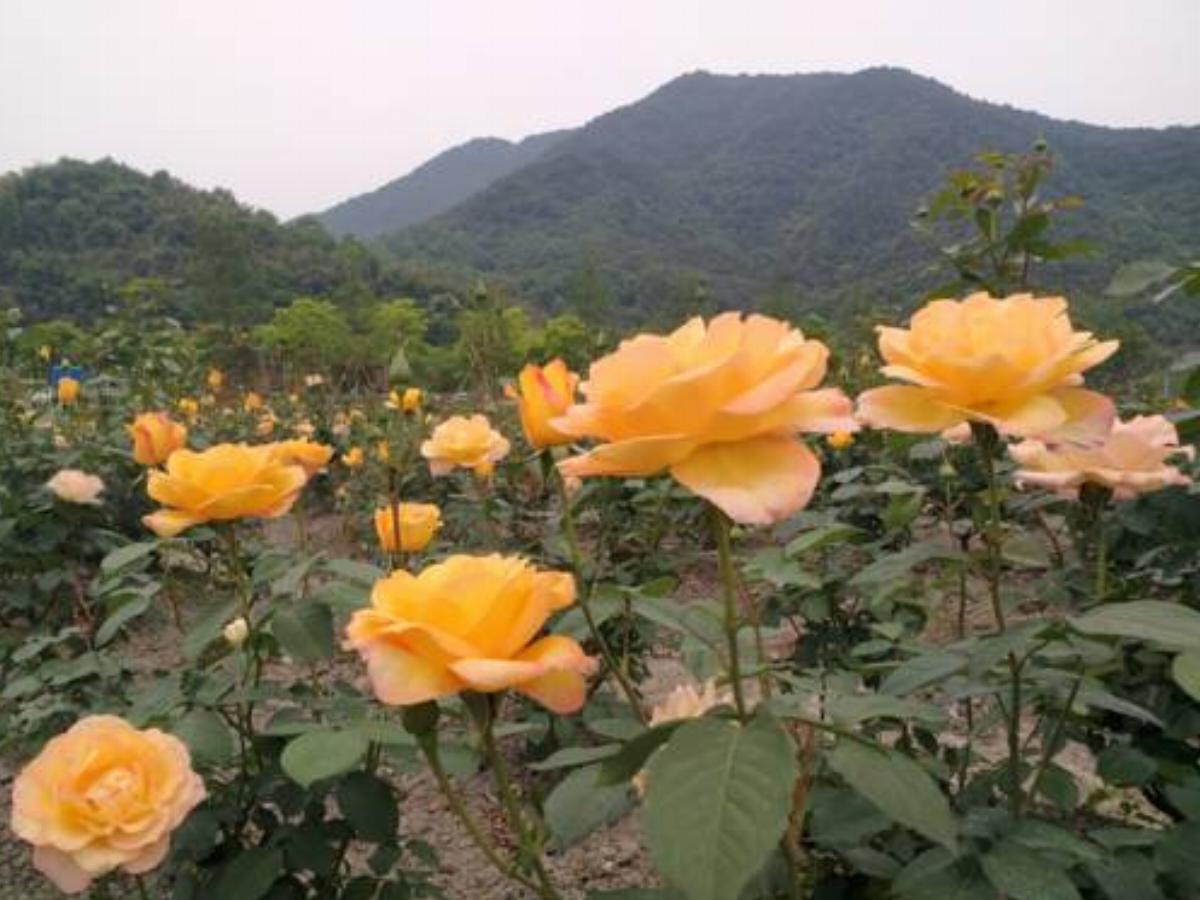 Blooming Lotus.3 Bookhous.Fuyang Hotel Fuyang China
