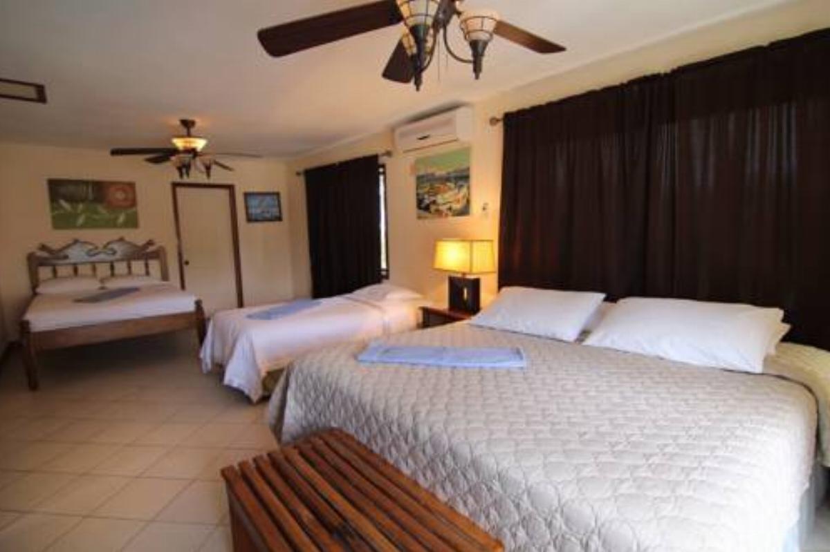 Blue Marlin Beach Resort Hotel Dangriga Belize