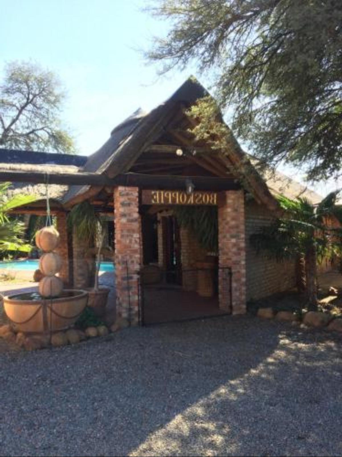 Boskoppie Lion & Tiger Reserve Hotel Kroonstad South Africa
