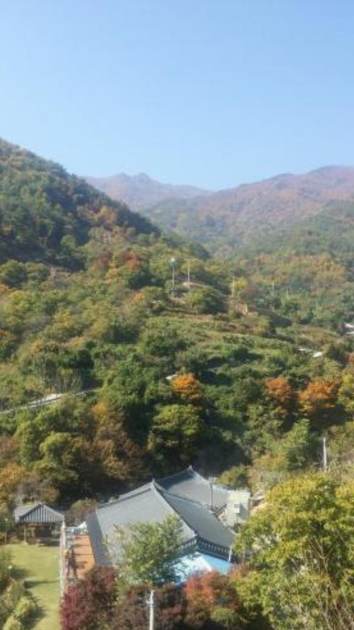 Buchungol Pension Hotel Hadong South Korea