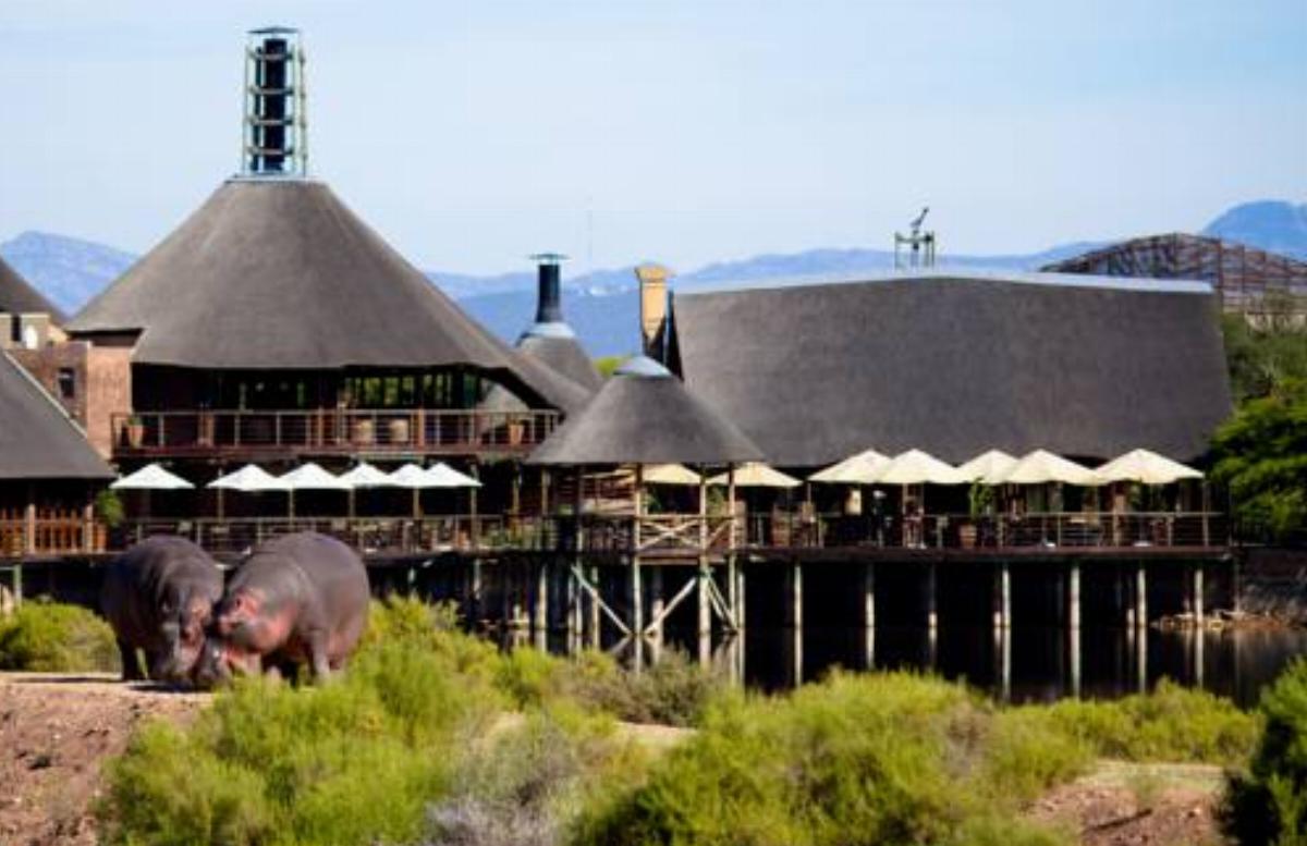 Buffelsdrift Game Lodge Hotel Oudtshoorn South Africa