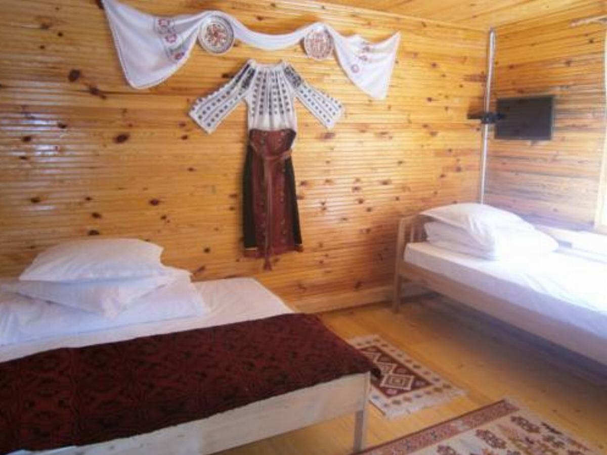 Cabana dintre Pini Hotel Lopătari Romania