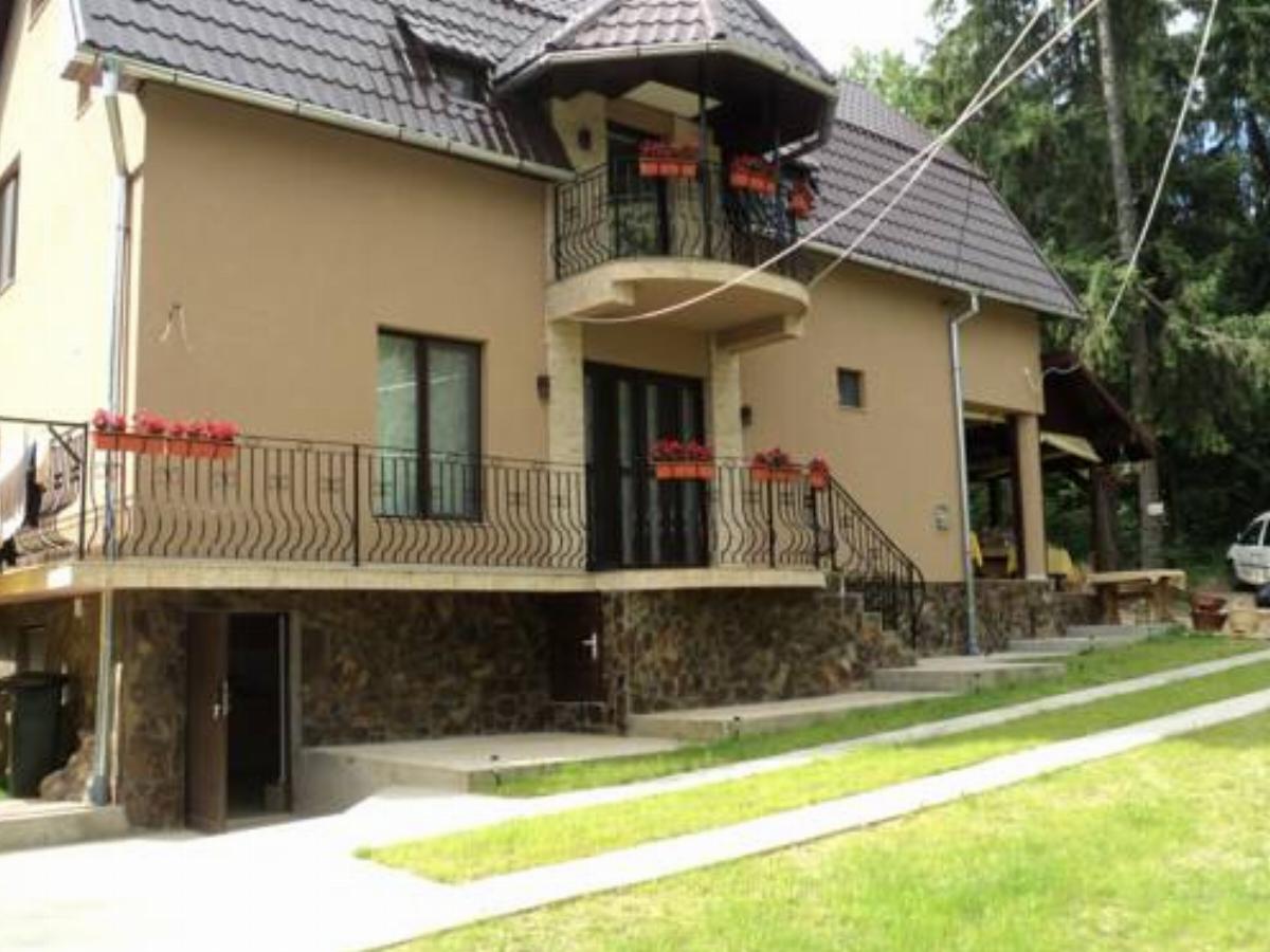 Cabana Suvenirurilor Hotel Scărişoara Romania