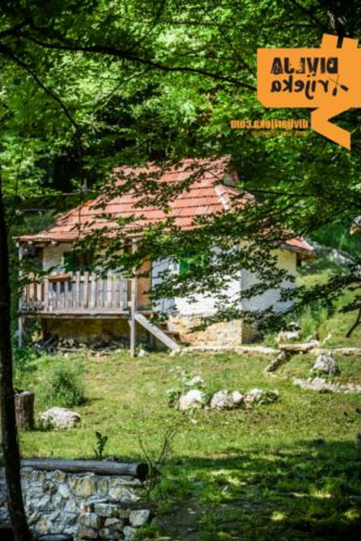 Camp Divlja Rijeka Hotel Hum Bosnia and Herzegovina