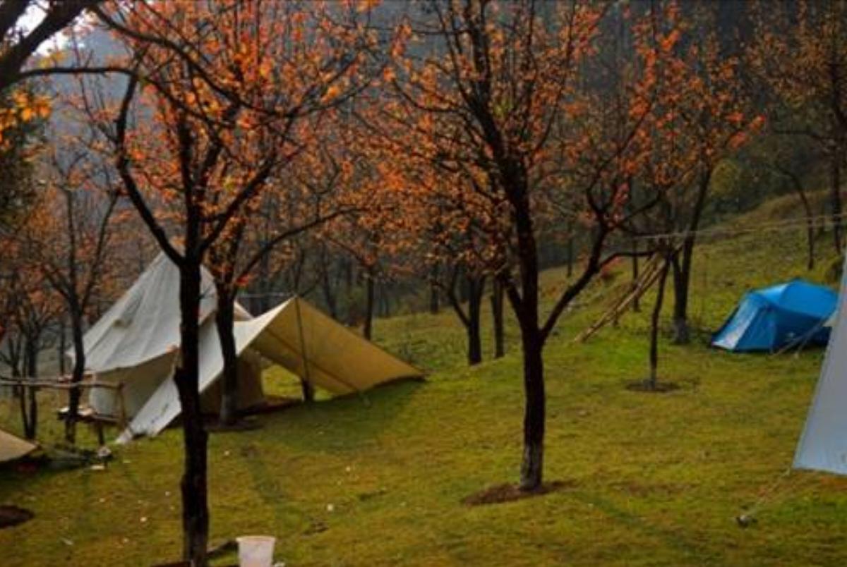 Camp Oak View, Bir Hotel Bīr India