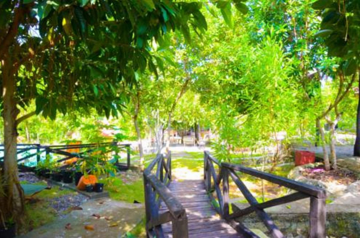 Campground to Bougainvillea Paradise Camp and Hostel Hotel Dauis Philippines