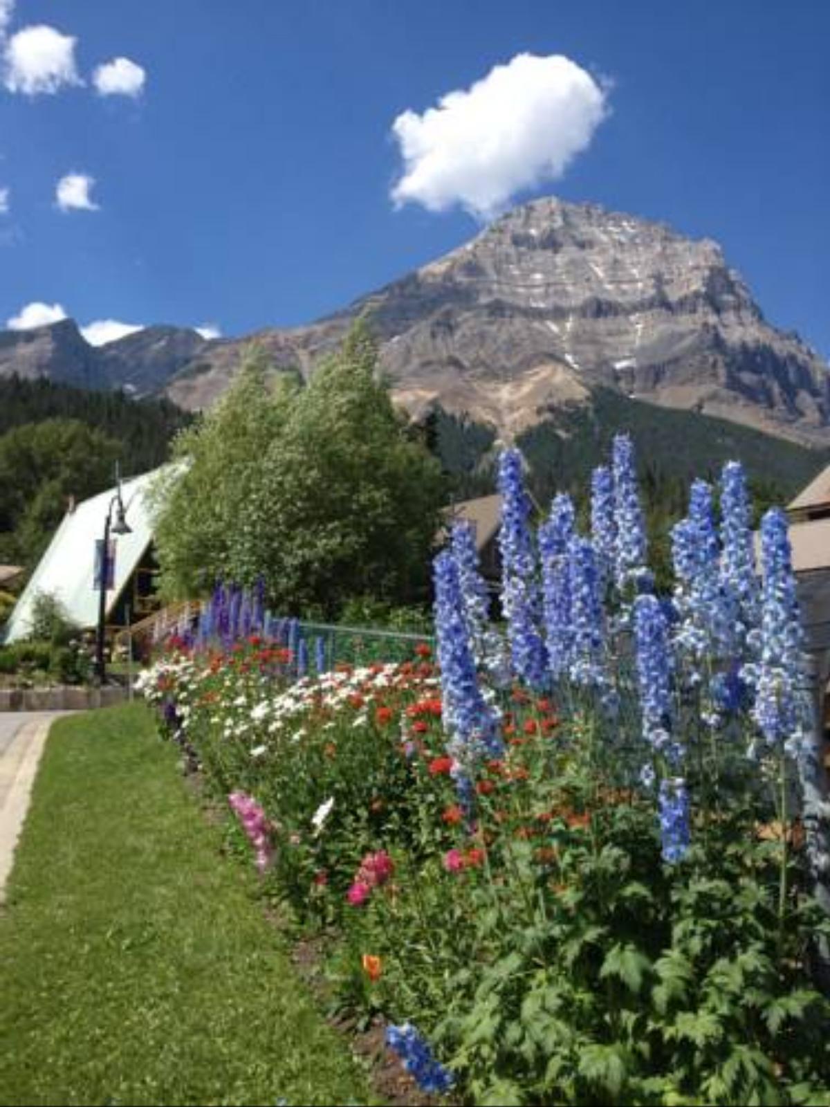 Canadian Rockies Inn - Adults only Hotel Field Canada
