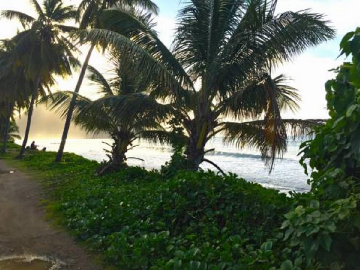 Caraibes pieds dans l'eau Hotel Les Trois-Îlets Martinique