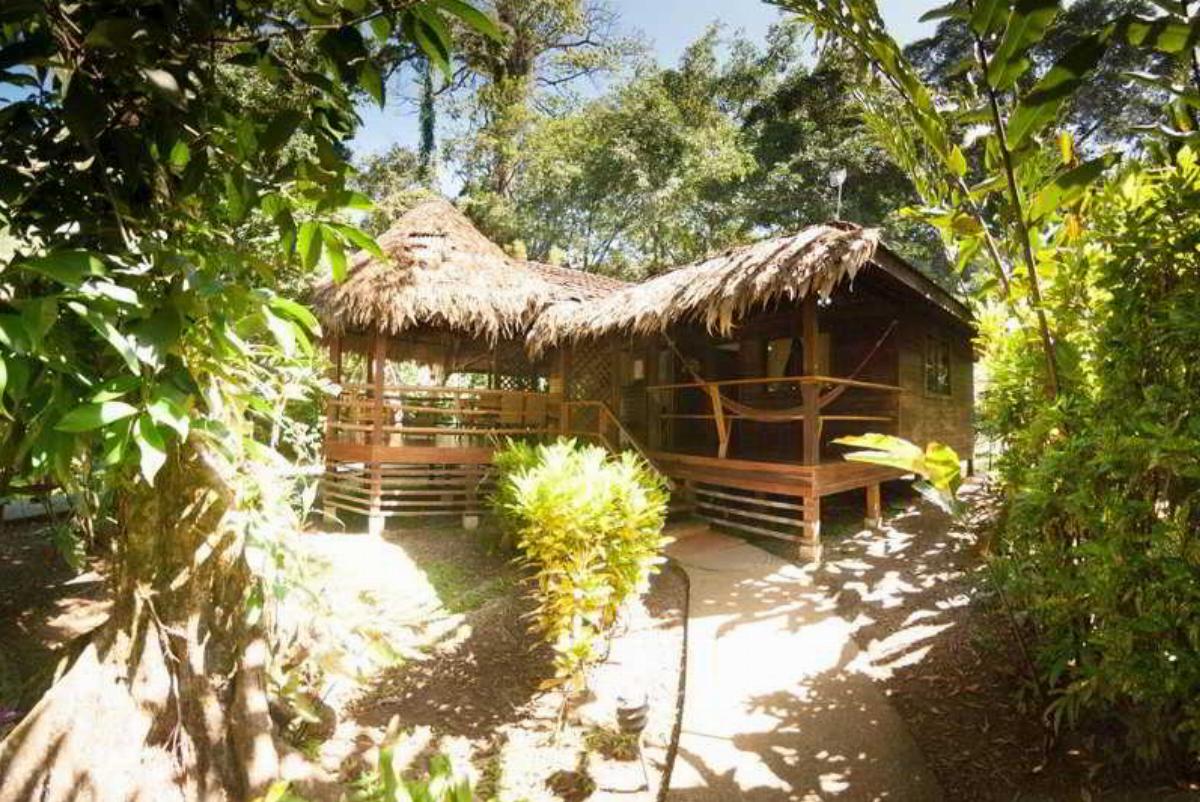Cariblue Beach & Jungle Resort Hotel Caribbean Coast  / Tortuguero Costa Rica