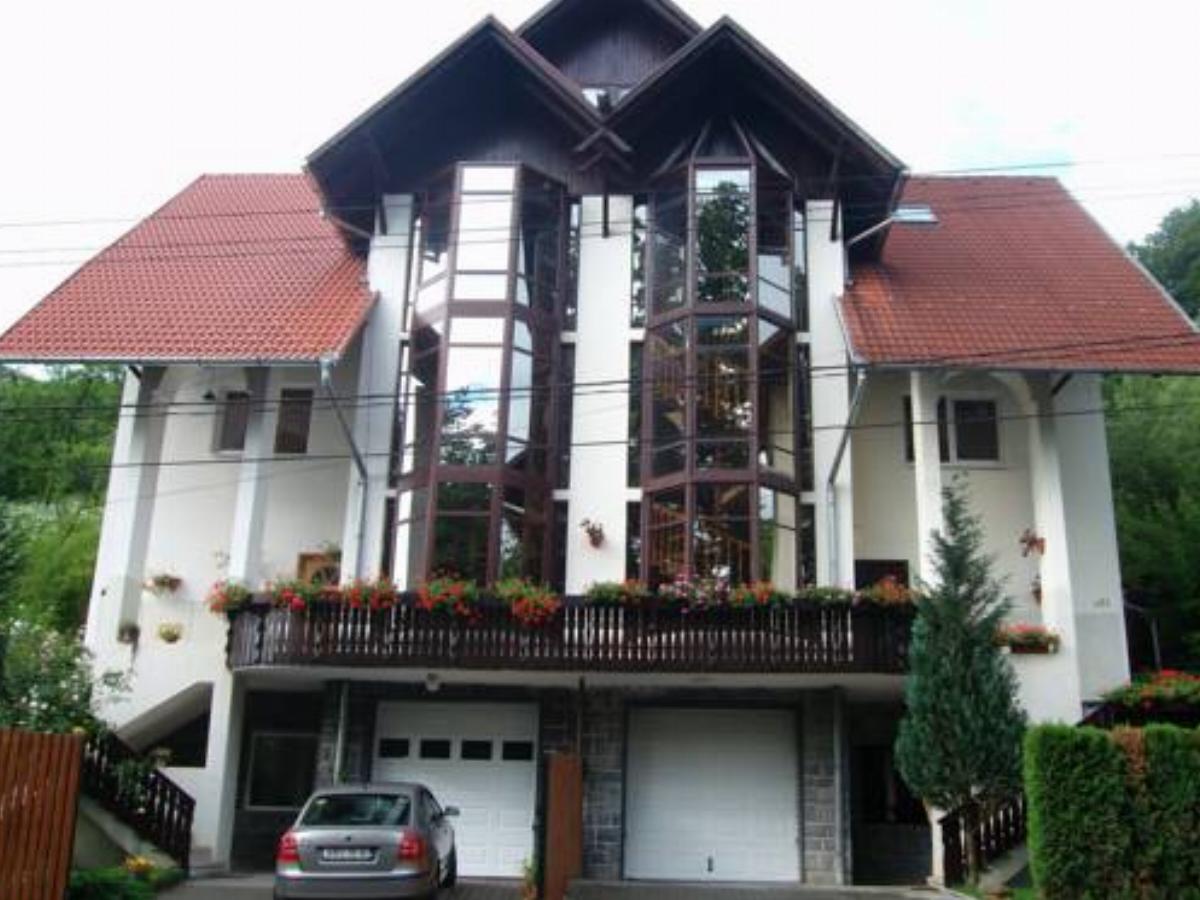 Casa Anette Hotel Sovata Romania