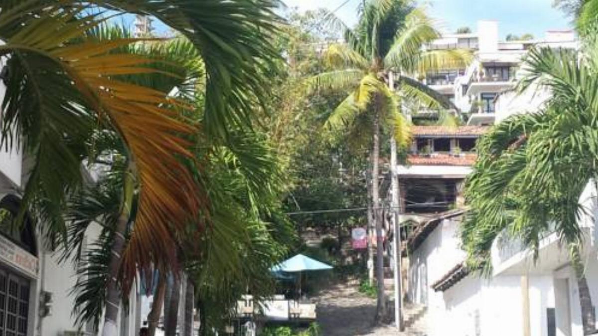 Casa Anita by Selfie suites Hotel Puerto Vallarta Mexico