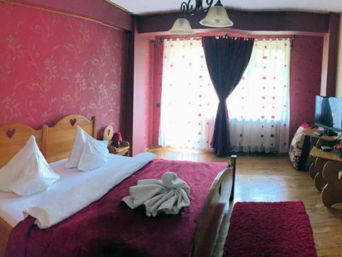 Casa Bradet Hotel Întorsura Buzăului Romania